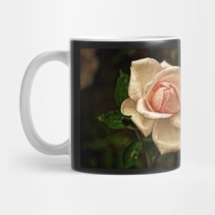 Beauty Fades Mug